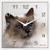 Часы настенные Салют квадрат 280х40мм Сиамская кошка (411) (10) Салют