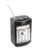 Радиоприёмник СИГНАЛ Walk (220В, 2*R20, акб 1300мА, FM, USB, microUSB, фонарь, караоке) Сигнал