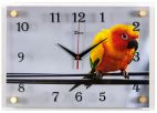 Часы настенные 21 Век стекло 25*35 Попугай (5) 21 век Свет