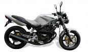 Мотоцикл "LIFAN" LF250-19Р (черный)